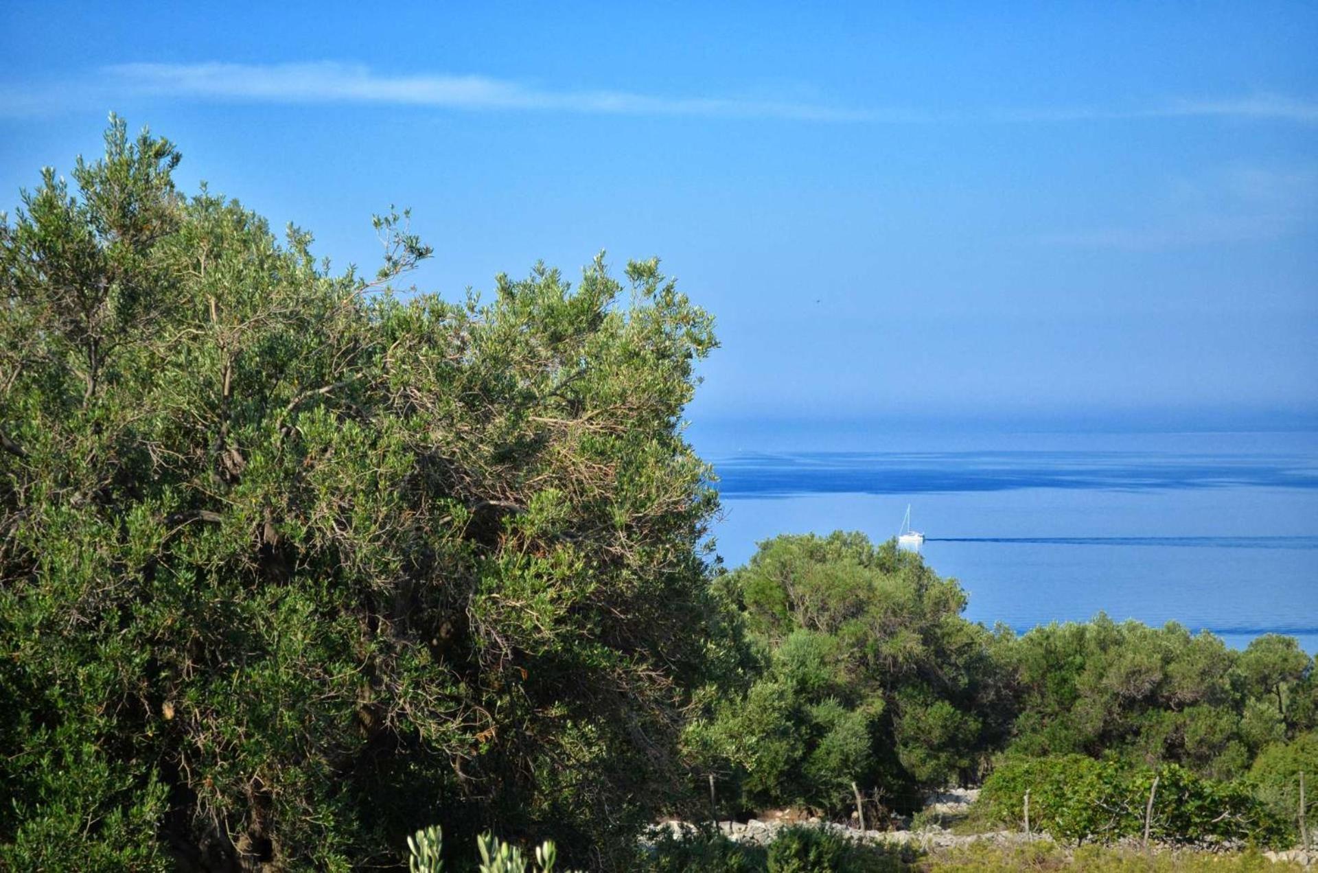 Apartments Krusvina Lun  Pokoj fotografie